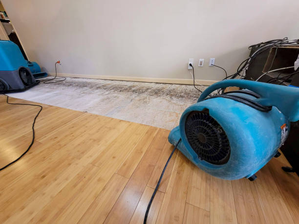 Professional Structural Drying technician working in Hurlburt Field, FL